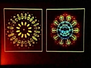Can Science & Faith Be Merged? | Francis Collins - Science & Faith, Truth Seekers - The Veritas Forum