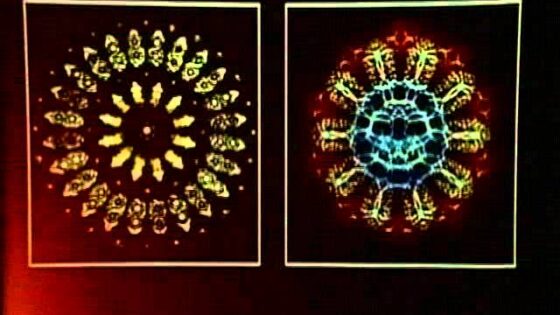 Can Science & Faith Be Merged? | Francis Collins - Science & Faith, Truth Seekers - The Veritas Forum
