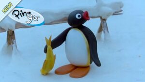 Pingu and the Bird's Mother – Pingu Official Channel - Kids (0-5), Kingdom Kids Zone - Pingu - Official Channel