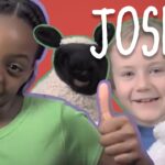 Witness21 Editor  2014 02 10