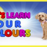 Learn Colors for Kids – Teach preschool and toddlers their colors in English - Kingdom Kids Zone, Little Learners - Brain Candy TV