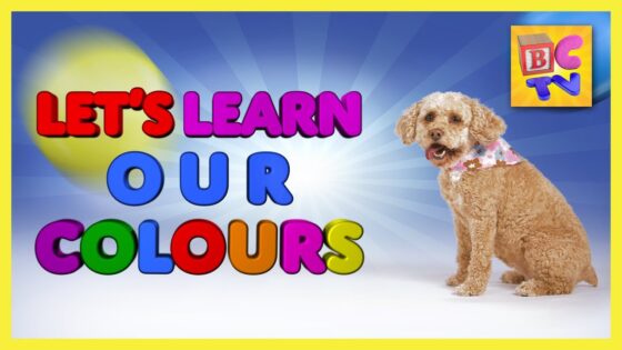 Learn Colors for Kids – Teach preschool and toddlers their colors in English - Kingdom Kids Zone, Little Learners - Brain Candy TV