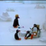 Pingu & the Game of Fish – Pingu Official Channel - Kids (0-4), Kingdom Kids Zone - Pingu - Official Channel