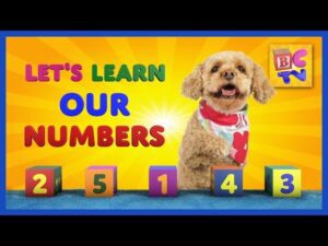 Learn Numbers with Lizzy the Dog | Teach children to count to 10 in English - Kingdom Kids Zone, Little Learners - Brain Candy TV