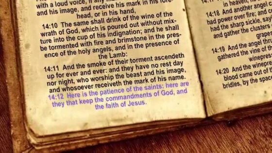 8.THE TIME PROPHECY (Ark Files main episode 8) - Biblical Archaeology, Documentaries, Movies & TV - Ark Files