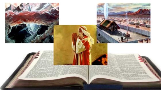 1. THE BEGINNING (Ark Files main episode 1) - Biblical Archaeology, Documentaries, Movies & TV - Ark Files