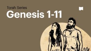 The Main Message of the Book of Genesis • Part 1 • Torah Series (Episode 1) - Bible Study, Movies & TV - BibleProject