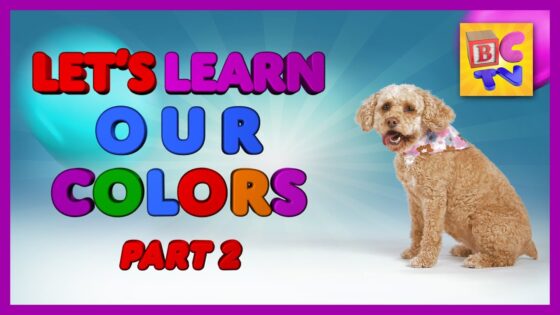 Learn Colors for Kids PART 2 | Teach Children Their Colours in English - Kingdom Kids Zone, Little Learners - Brain Candy TV