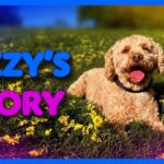 Lizzy's Story | Kids Video of Cute Puppy and Funny Dog Playing - Kingdom Kids Zone, Little Learners - Brain Candy TV