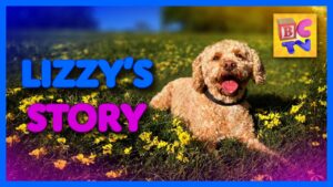 Lizzy's Story | Kids Video of Cute Puppy and Funny Dog Playing - Kingdom Kids Zone, Little Learners - Brain Candy TV