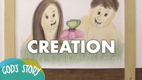 Witness21 Editor  2014 09 05