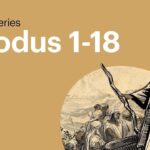 Witness21 Editor  2014 11 28