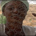 Witness21 Editor  2015 01 08