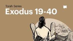 The Book of Exodus – Part 2 - Bible Study, Movies & TV - BibleProject
