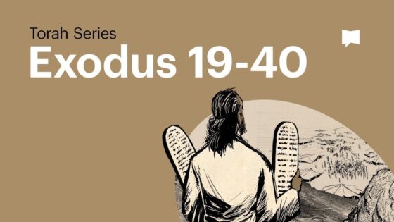 The Book of Exodus – Part 2 - Bible Study, Movies & TV - BibleProject