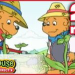 The Berenstain Bears: The Summer Job / The Big Red Kite – Ep. 21 - Kids TV Series, Kingdom Kids Zone - Treehouse Direct