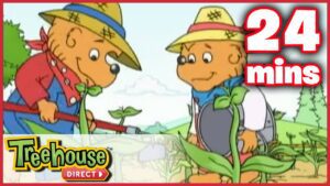The Berenstain Bears: The Summer Job / The Big Red Kite – Ep. 21 - Kids TV Series, Kingdom Kids Zone - Treehouse Direct