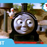 Donald's Duck | TBT | Thomas & Friends - Kids TV Series, Kingdom Kids Zone - Thomas & Friends