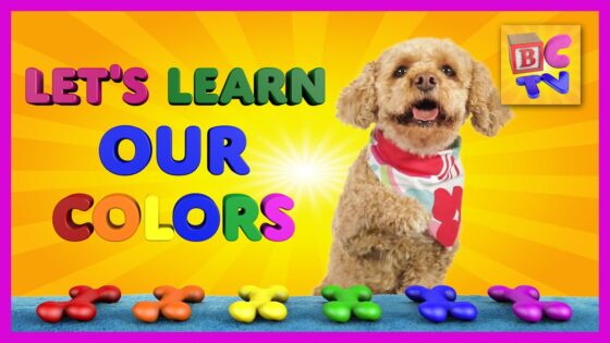 Learn Colors With Lizzy the Dog | Educational Video for Kids by Brain Candy TV - Kingdom Kids Zone, Little Learners - Brain Candy TV