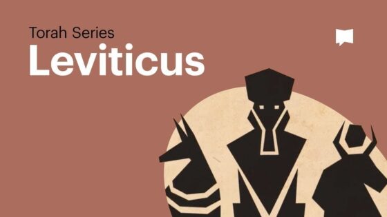 Avoiding the Book of Leviticus? • We Break It Down For You (Torah Series Ep. 5) - Bible Study, Movies & TV - BibleProject