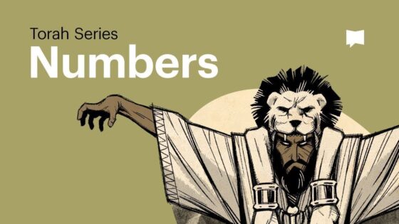 What Happened on Israel's Journey to the Promised Land • Torah Series (Episode 6) - Bible Study, Movies & TV - BibleProject