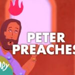 Witness21 Editor  2015 09 10