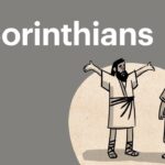 Witness21 Editor  2015 10 15