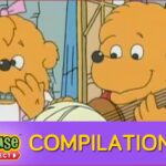 The Berenstain Bears: Season 1 Favorites! (Compilation) - Kids TV Series, Kingdom Kids Zone - Treehouse Direct