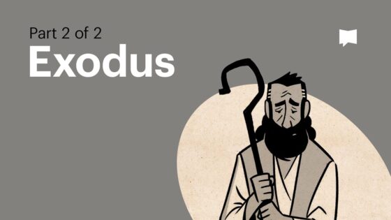Book of Exodus Summary: A Complete Animated Overview (Part 2) - Bible Study, Movies & TV - BibleProject
