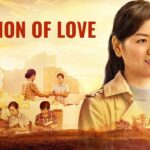 Witness21 Editor  2016 01 12