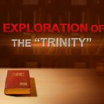 Witness21 Editor  2016 01 01