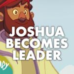 Witness21 Editor  2016 02 04