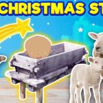 Witness21 Editor  2016 03 08