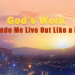 Witness21 Editor  2016 05 27