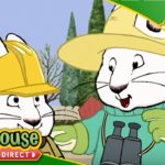 Max & Ruby: Groundhog Day / Ruby's First Robin of Spring / Grandma's Geraniums – Ep.64 | HD Cartoons - Kids TV Series, Kingdom Kids Zone - Treehouse Direct