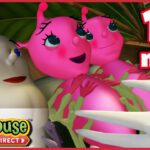 Miss Spider: Lulla-Bug – Ep.30B | HD Cartoons - Kids TV Series, Kingdom Kids Zone - Treehouse Direct
