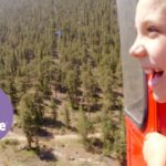 Witness21 Editor  2016 07 14