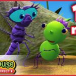 Miss Spider: Mr. Mocking-Bug – Ep.35A | HD Cartoons - Kids TV Series, Kingdom Kids Zone - Treehouse Direct
