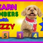 Learn Numbers with Lizzy the Dog | v2 | Learn to Count to 10 for Kids - Kingdom Kids Zone, Little Learners - Brain Candy TV
