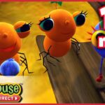 Miss Spider: Stuck On You – Ep.39B | HD Cartoons - Kids TV Series, Kingdom Kids Zone - Treehouse Direct