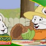 Max and Ruby FUN Fall Compilation! | Funny Cartoons for Kids By Treehouse Direct - Kids TV Series, Kingdom Kids Zone - Treehouse Direct