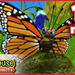 Miss Spider: The Befuddled Butterfly – Ep.40B | HD Cartoons - Kids TV Series, Kingdom Kids Zone - Treehouse Direct