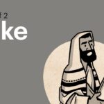 Witness21 Editor  2016 09 28