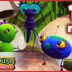 Miss Spider: Good Deed Seeds – Ep.41A | HD Cartoons - Kids TV Series, Kingdom Kids Zone - Treehouse Direct