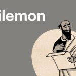 Witness21 Editor  2016 11 28