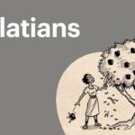 Witness21 Editor  2016 11 09