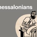 Witness21 Editor  2016 11 17