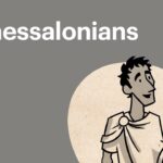 Witness21 Editor  2016 11 17