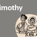 Witness21 Editor  2016 11 23