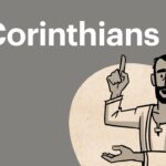 Witness21 Editor  2016 11 03